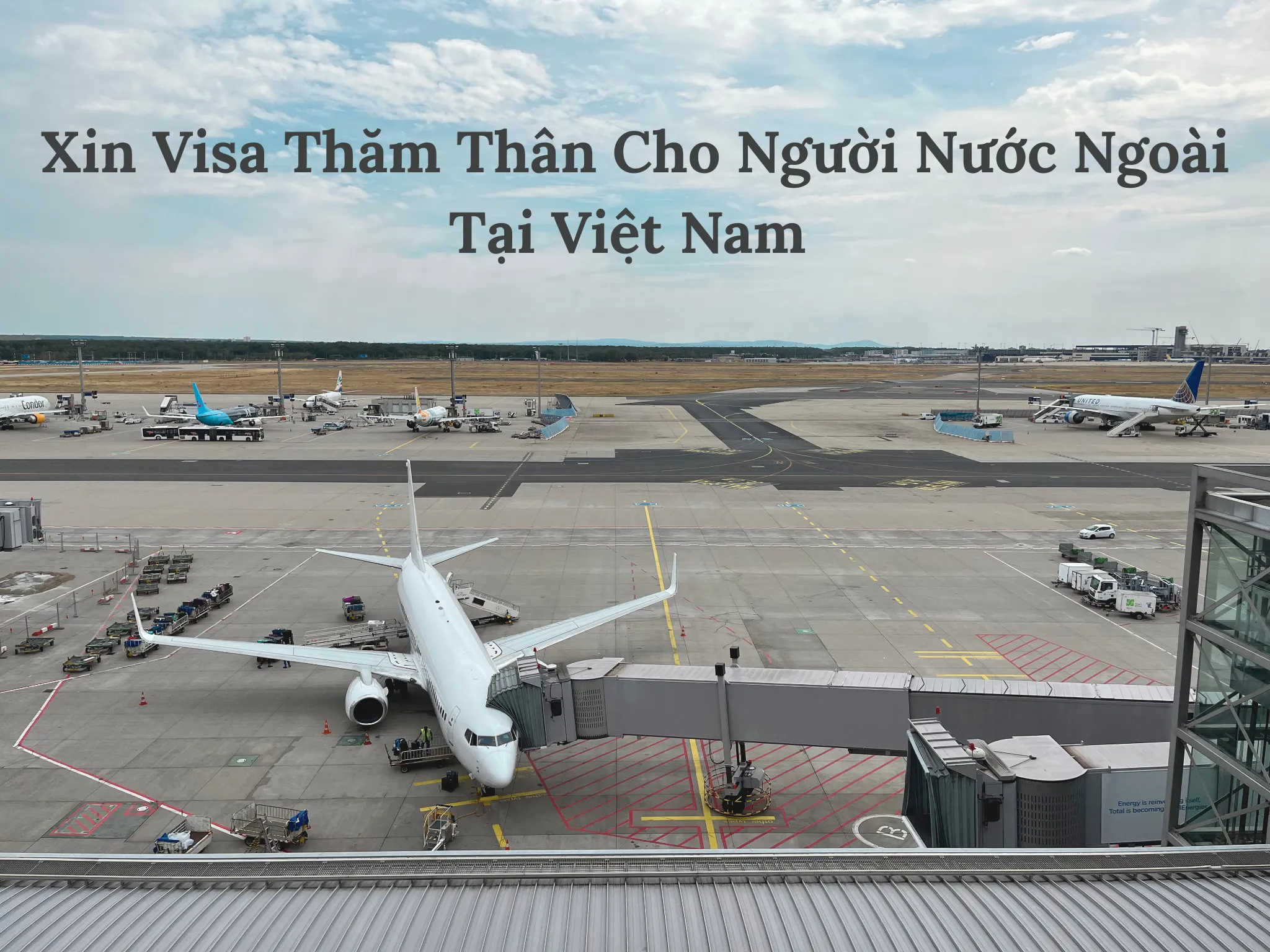 Hướng dẫn xin visa thăm thân Việt Nam cho người nước ngoài 2025